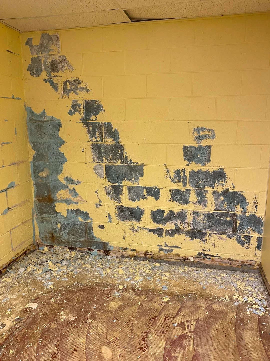 Basement waterproofing Syracuse technician inspecting a finished interior drainage system