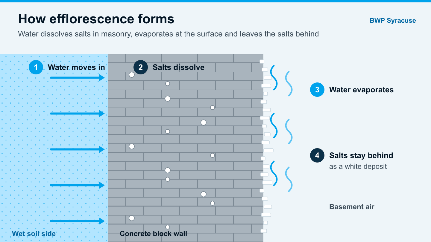 Diagram of water carrying salts through a block wall to form efflorescence in a Syracuse basement