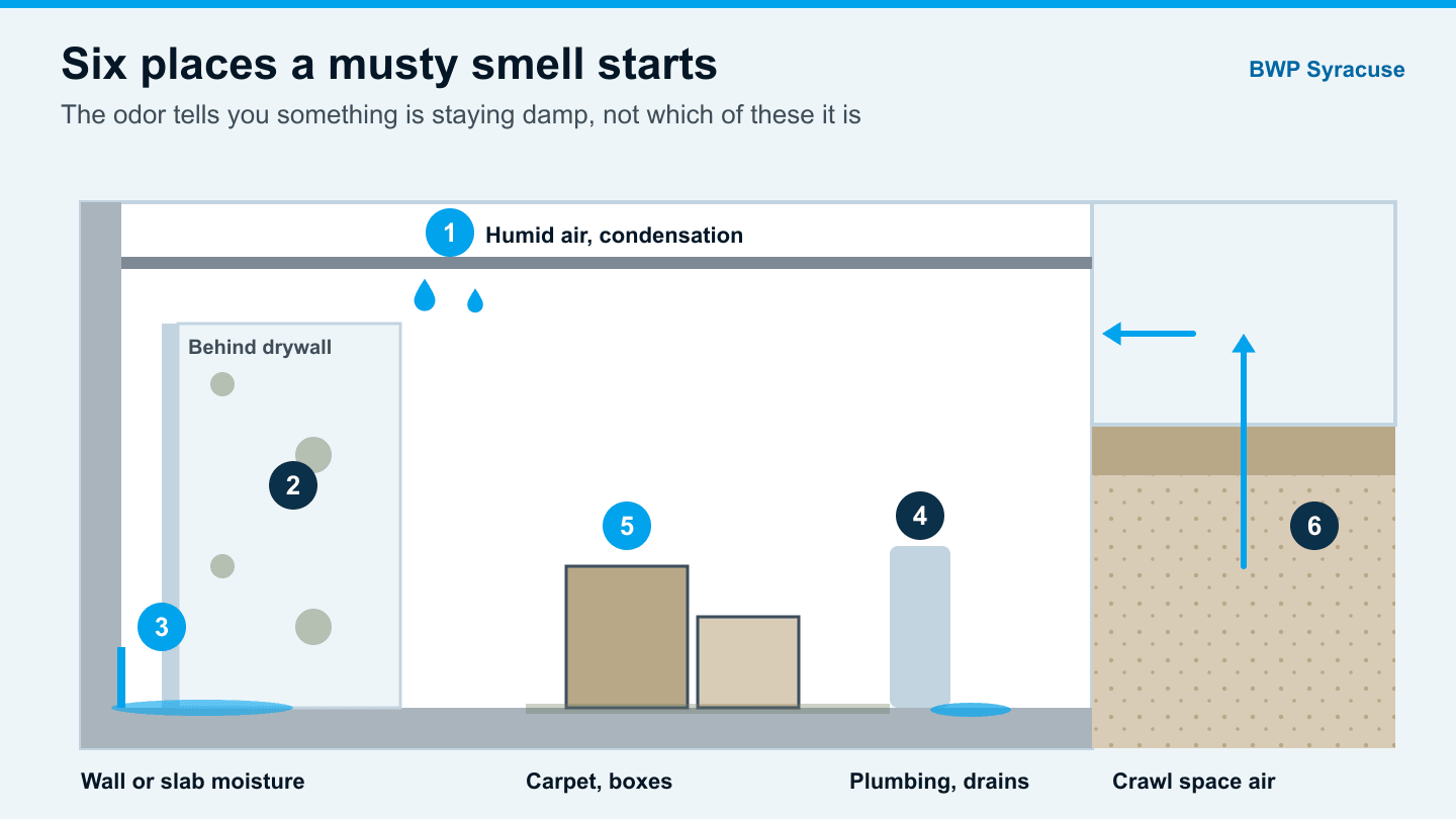 Diagram of six places a musty smell starts in a Syracuse basement