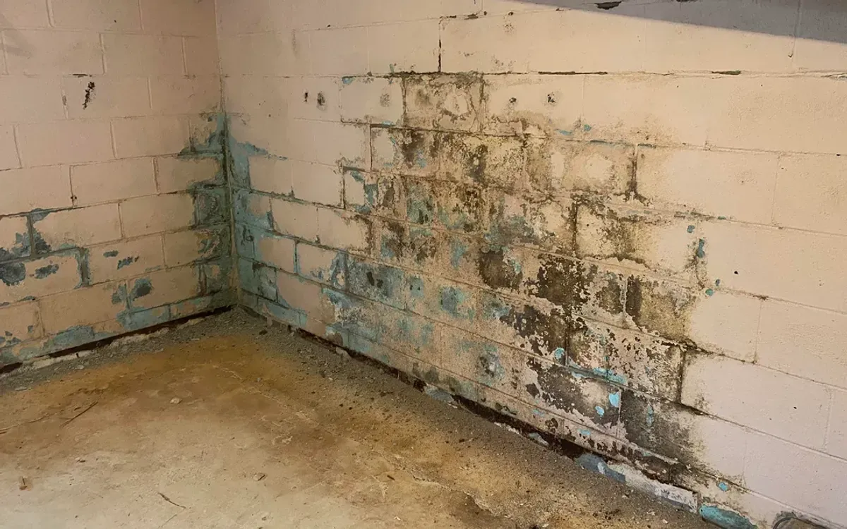 Damp block wall with efflorescence before moisture control by Basement Waterproofing Syracuse