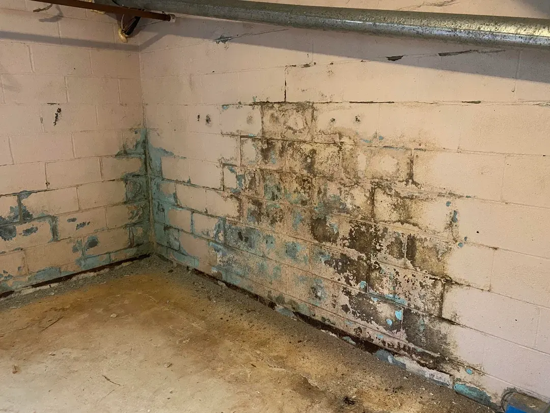 Efflorescence on a wall before basement waterproofing in Salt Springs, Syracuse